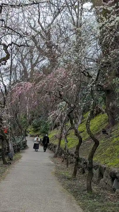 北野天満宮(京都府)