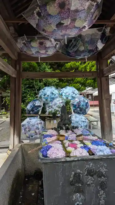 柳谷観音 楊谷寺(京都府)