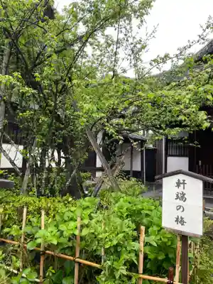 東北院(京都府)