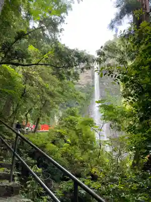 飛瀧神社(熊野那智大社別宮)(和歌山県)