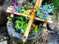 巖島神社の手水舎