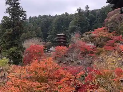 長谷寺のその他建物