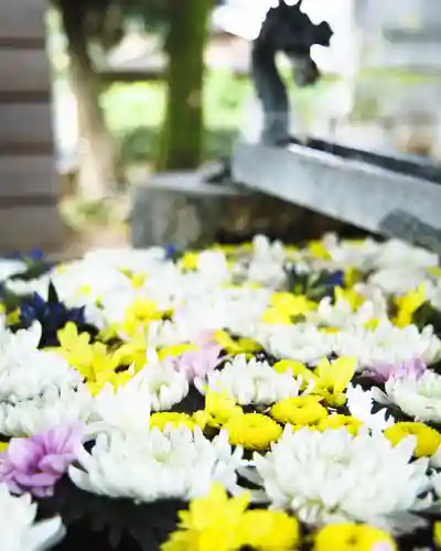 上野総社神社(群馬県)