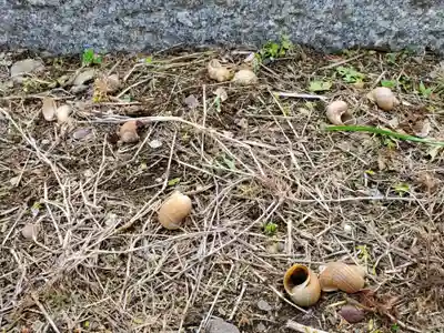 大芋神社のその他建物
