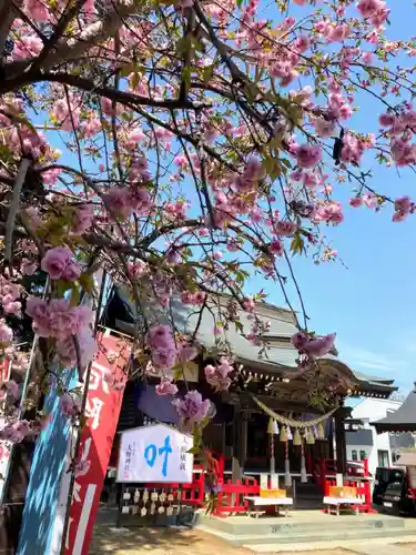 大野神社(埼玉県)