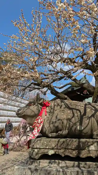 北野天満宮(京都府)