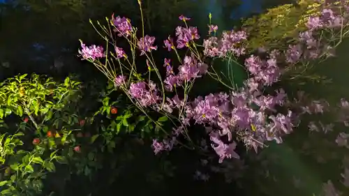 高台寺（高台寿聖禅寺・高臺寺）(京都府)