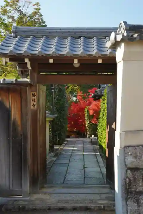 勝林寺(京都府)