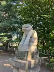 砂川神社の狛犬