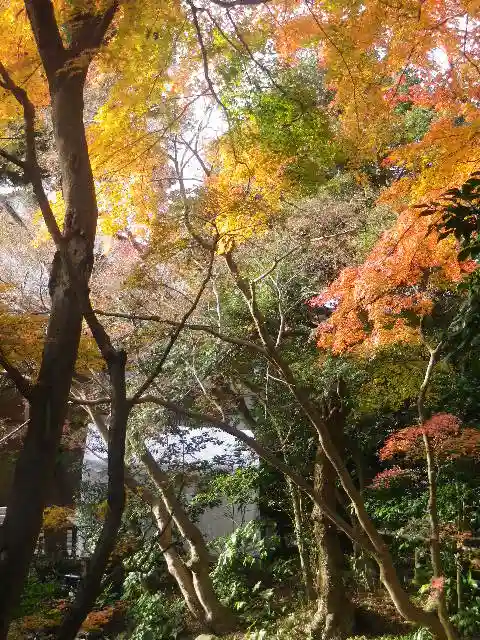 鶴岡八幡宮の庭園