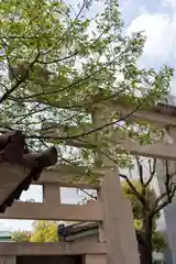 坐摩神社(大阪府)