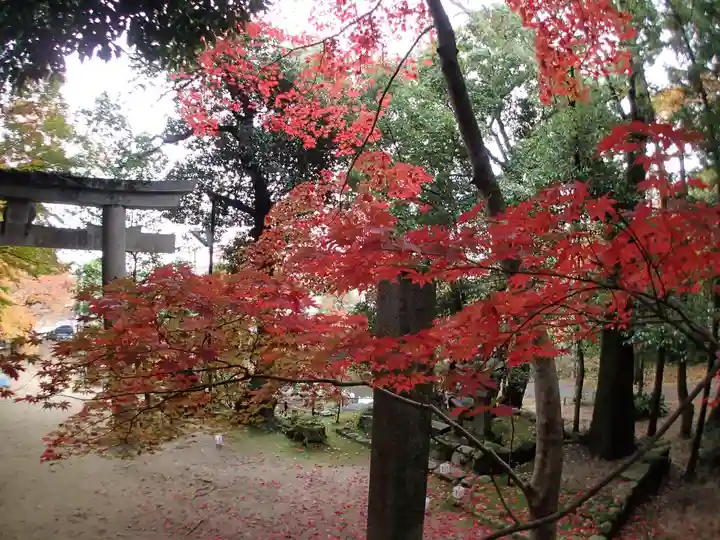 等彌神社の自然