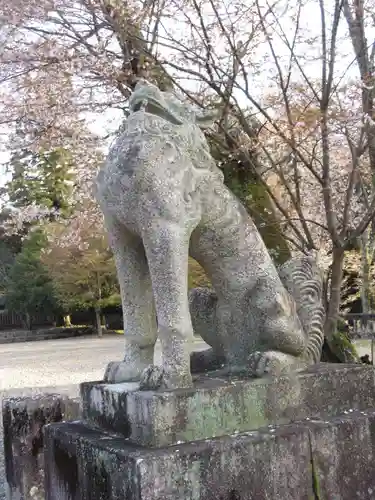 吉野神宮の狛犬