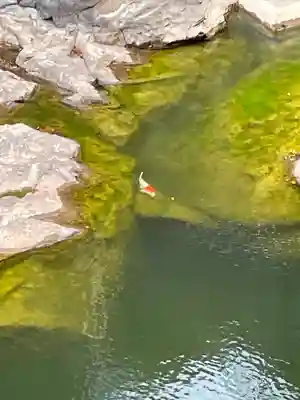 鏑射寺(兵庫県)