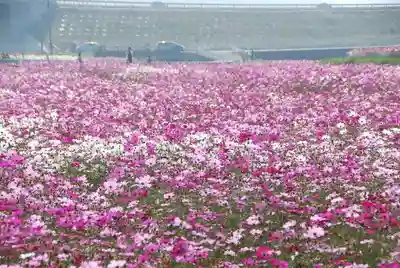 箭山神社上宮(大分県)