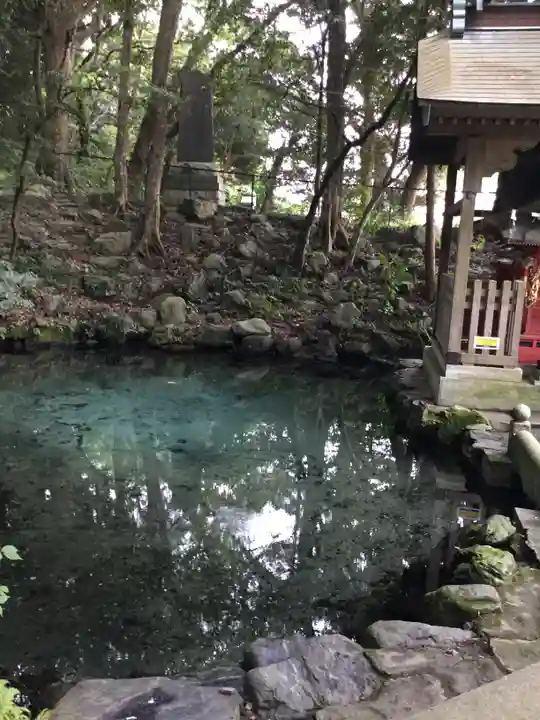 泉神社の自然