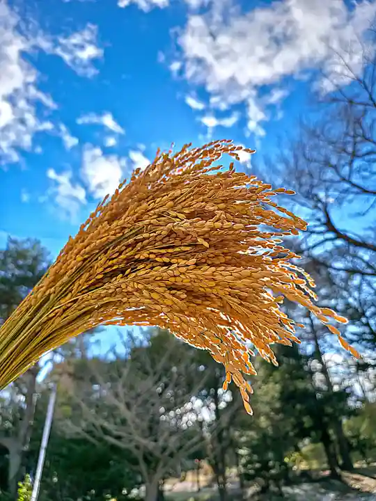 美幌神社(北海道)