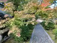 酬恩庵一休寺(京都府)