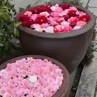 霊鑑寺門跡の手水舎