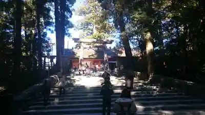 伊勢神宮内宮(皇大神宮)の鳥居