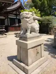 荒井神社の狛犬