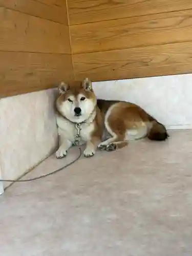 長妙寺(千葉県)