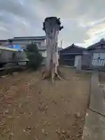稲荷神社(瑞穂野町)(栃木県)