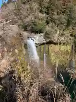 厳磐叢神社の自然