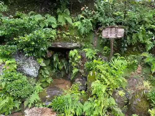 鹿苑寺（金閣寺）の庭園