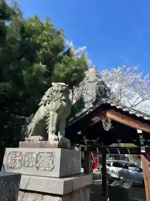 加納天満宮の{uncategorized: "未分類", other: "その他", undefined: "問題あり", building: "その他建物", grave: "お墓", sacred_gate: "鳥居", guardian: "狛犬", statue: "像", buddha: "仏像", history: "歴史", nature: "自然", garden: "庭園", animal: "動物", pagoda: "塔", temizu: "手水舎", mountain_gate: "山門・神門", sanctuary: "本殿・本堂", subordinate: "末社・摂社", art: "芸術", scenery: "景色", jizo: "地蔵", ema: "絵馬", goshuin: "御朱印", omikuji: "おみくじ", items: "授与品その他", amulet: "お守り", goshuincho: "御朱印帳", eats: "食事", festival: "お祭り", votive_dance: "神楽", shichigosan: "七五三参", wedding: "結婚式", experience: "体験その他", initially: "初詣", around: "周辺", anti_infection: "感染症対策"}