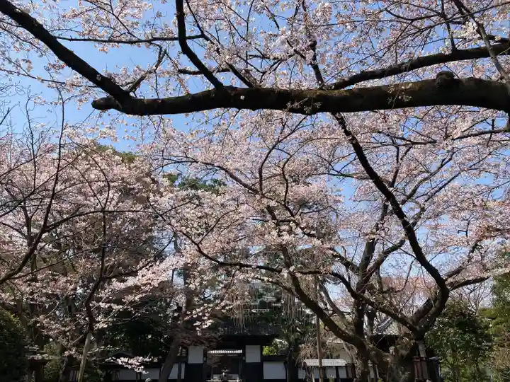 松音寺(宮城県)