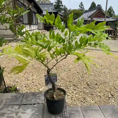 加佐美神社(岐阜県)