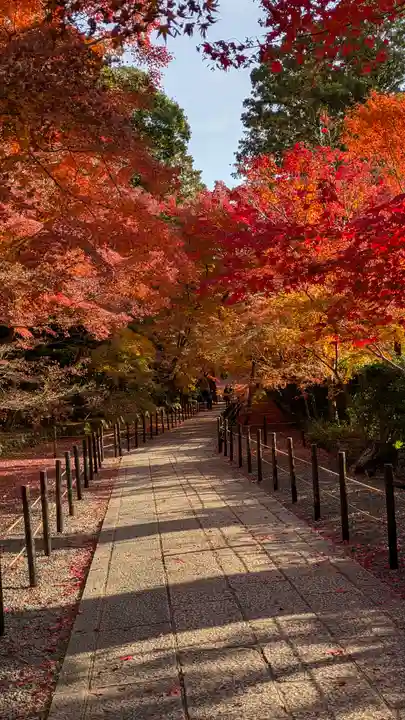 光明寺(粟生光明寺)(京都府)