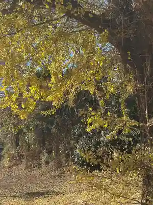 三芳野神社(埼玉県)