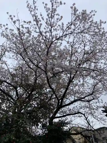 長福寺(神奈川県)