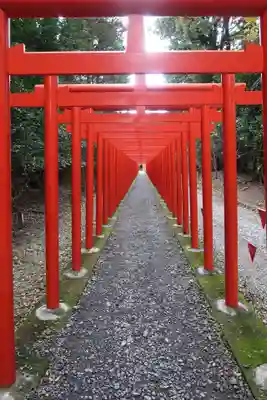 美濃國一宮　南宮大社(岐阜県)