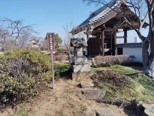 善長寺の末社・摂社