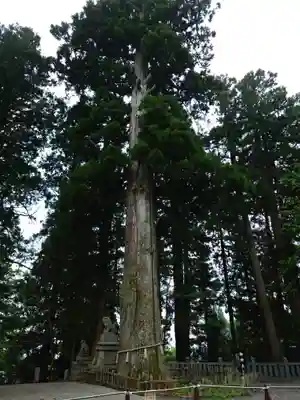 戸隠神社中社(長野県)