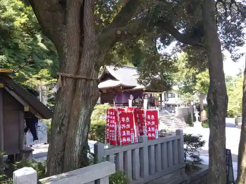 毛谷黒龍神社(福井県)