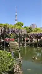 亀戸天神社の庭園