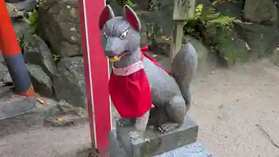 天開稲荷社の狛犬