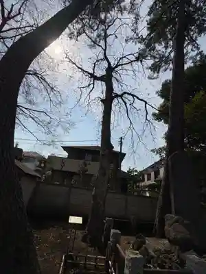 北野神社(東京都)