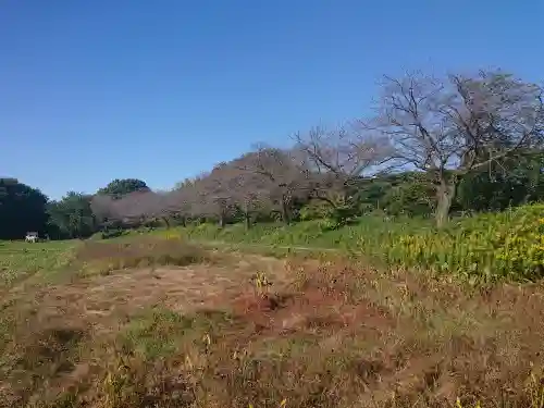 氷川女體神社の景色