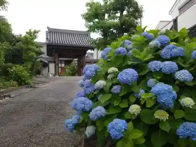 成道寺(愛知県)