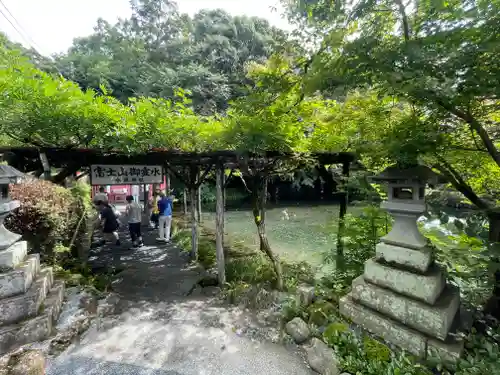 富士山本宮浅間大社(静岡県)