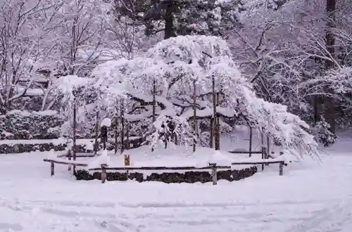 大原野神社の自然