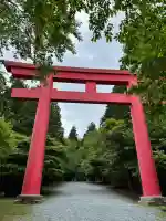 砥鹿神社(奥宮)の{uncategorized: "未分類", other: "その他", undefined: "問題あり", building: "その他建物", grave: "お墓", sacred_gate: "鳥居", guardian: "狛犬", statue: "像", buddha: "仏像", history: "歴史", nature: "自然", garden: "庭園", animal: "動物", pagoda: "塔", temizu: "手水舎", mountain_gate: "山門・神門", sanctuary: "本殿・本堂", subordinate: "末社・摂社", art: "芸術", scenery: "景色", jizo: "地蔵", ema: "絵馬", goshuin: "御朱印", omikuji: "おみくじ", items: "授与品その他", amulet: "お守り", goshuincho: "御朱印帳", eats: "食事", festival: "お祭り", votive_dance: "神楽", shichigosan: "七五三参", wedding: "結婚式", experience: "体験その他", initially: "初詣", around: "周辺", anti_infection: "感染症対策"}