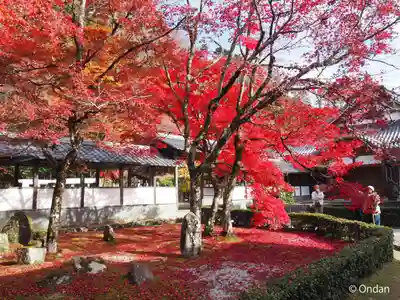永源寺(滋賀県)