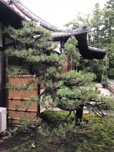 頼光寺(兵庫県)