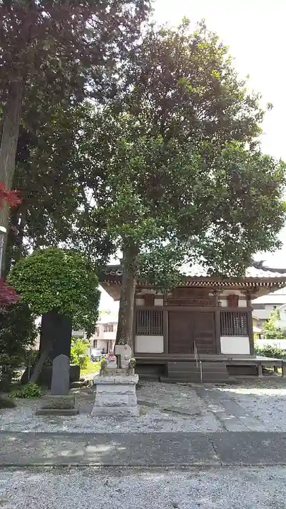 東光寺の本殿・本堂